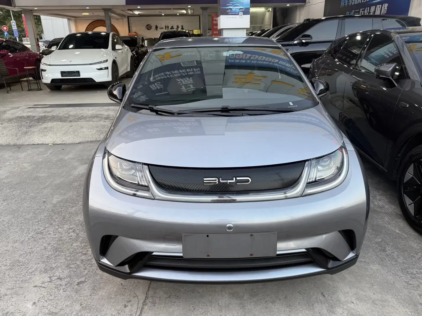 BYD Dolphin
