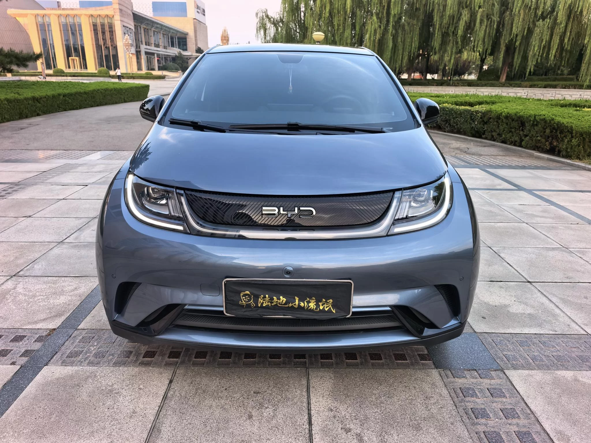BYD Dolphin