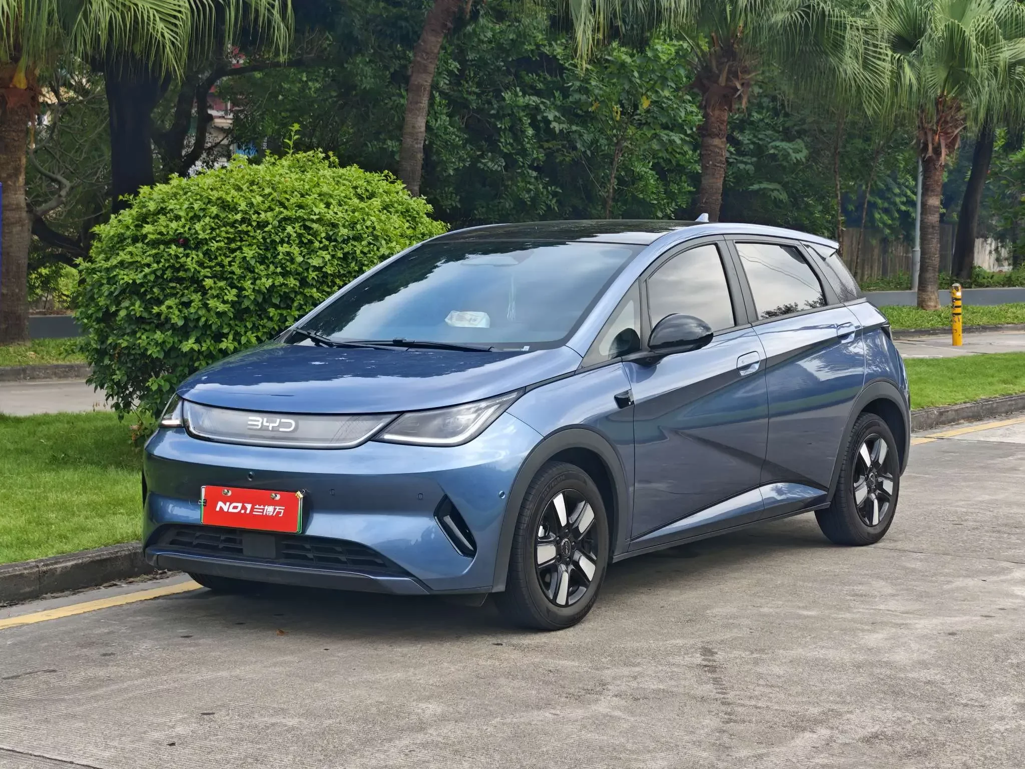BYD Dolphin