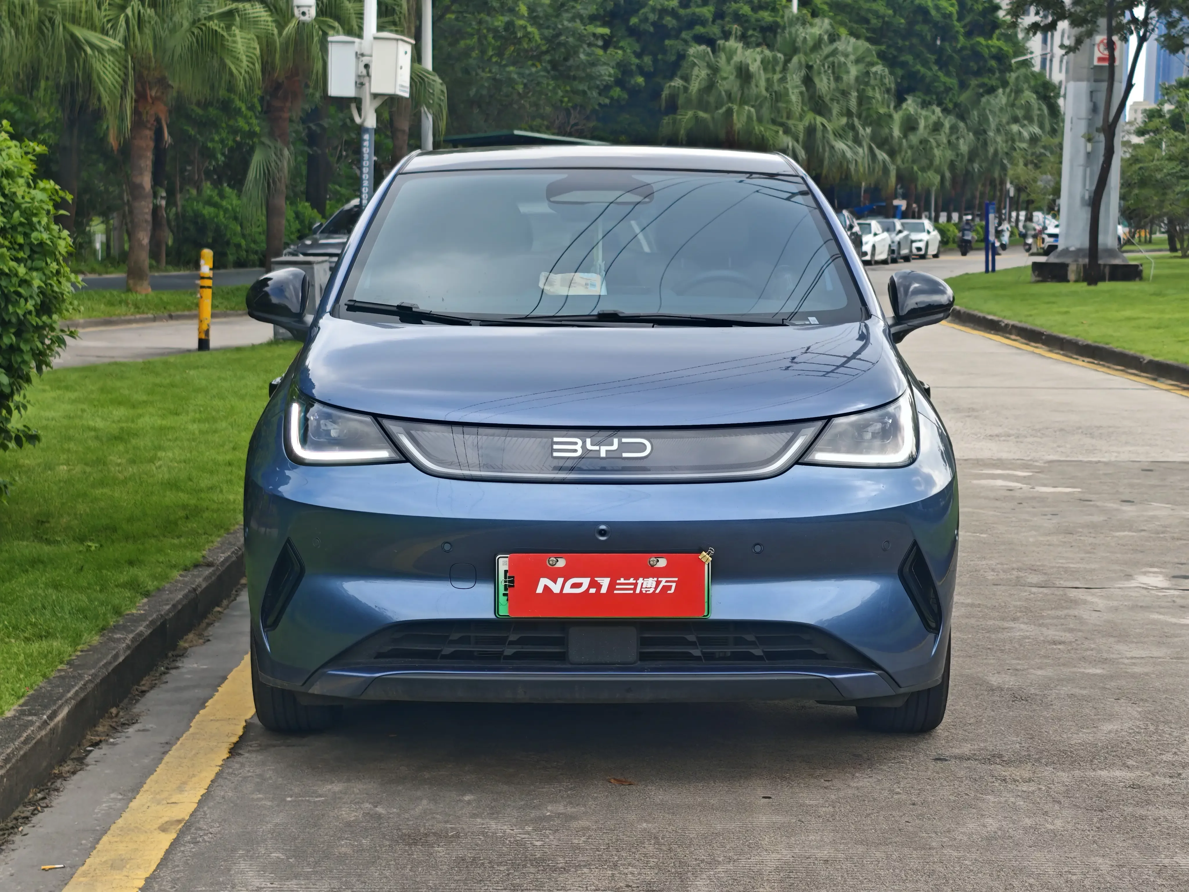 BYD Dolphin