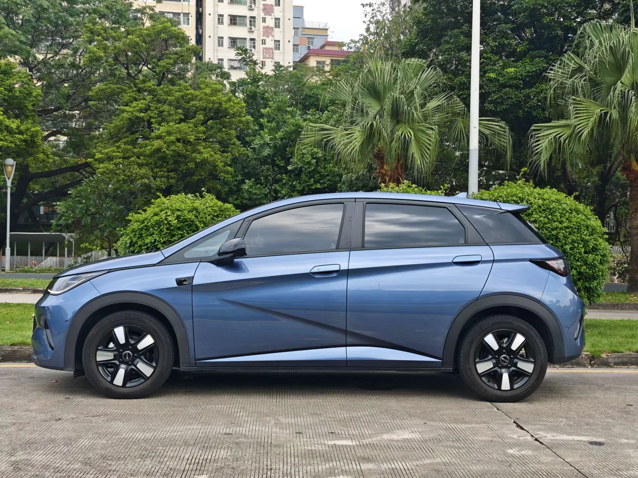 BYD Dolphin