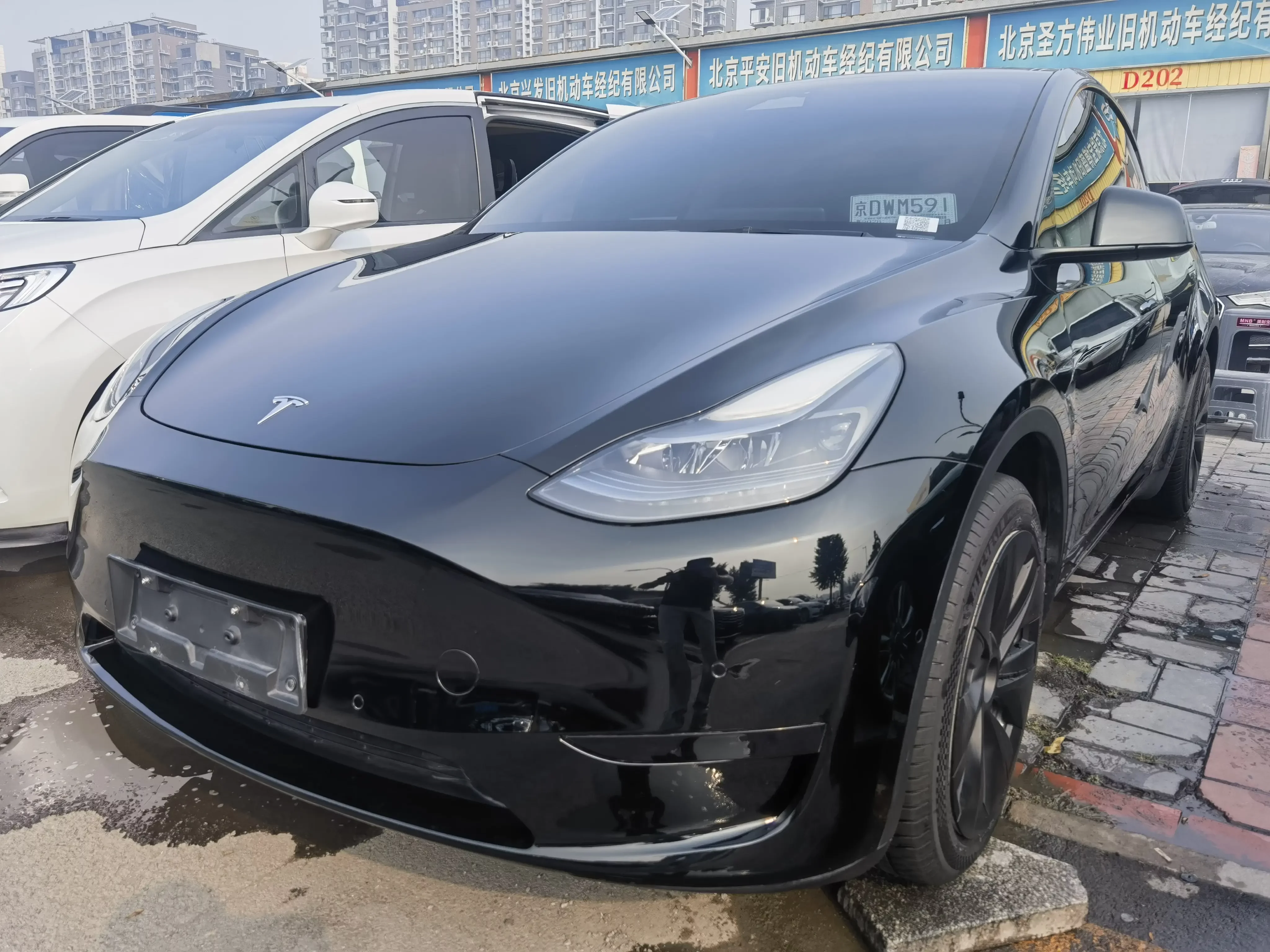 TESLA MODEL Y