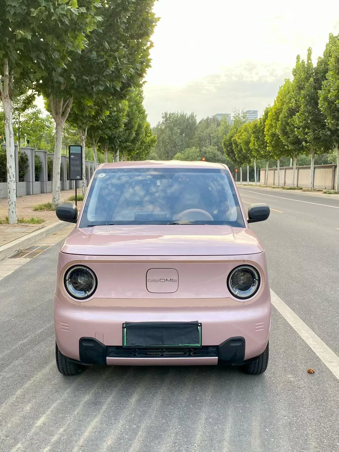 Geely Panda