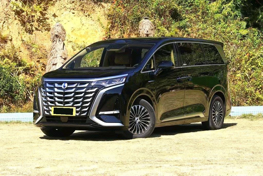 Denza D9 DM