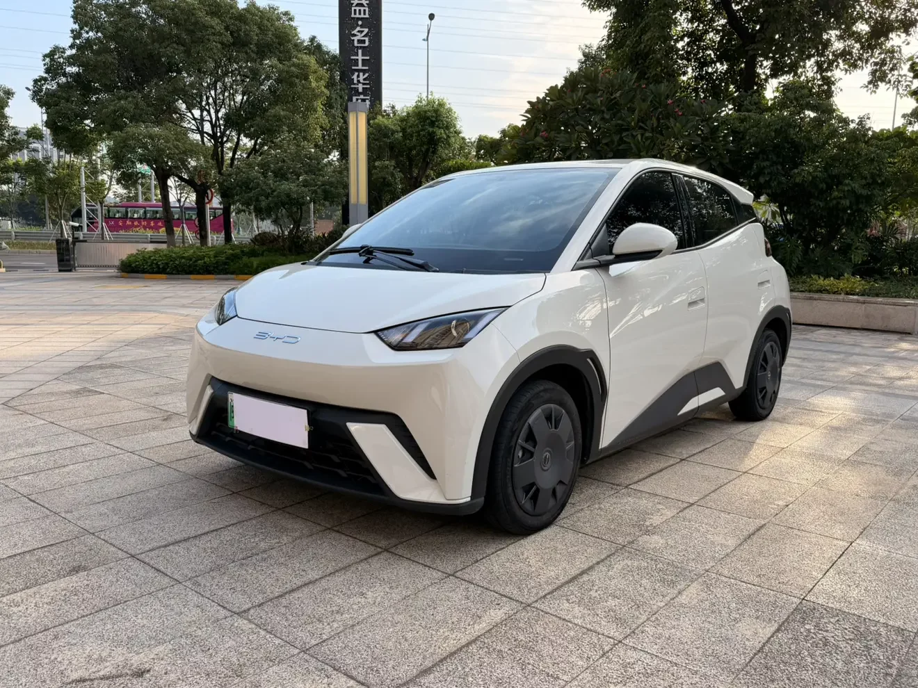 BYD Seagull