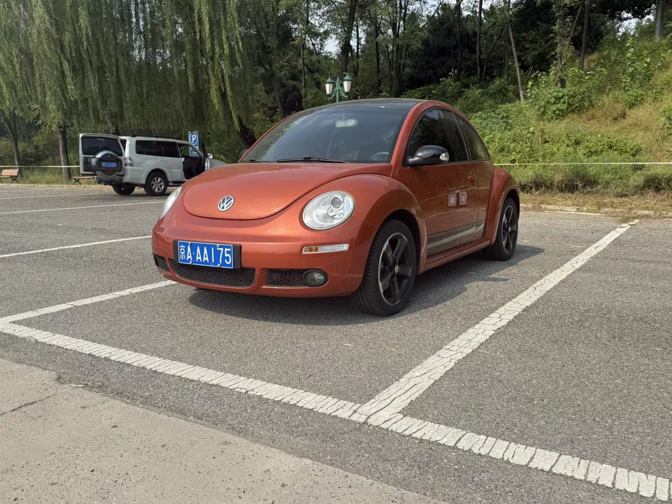 Volkswagen Beetle
