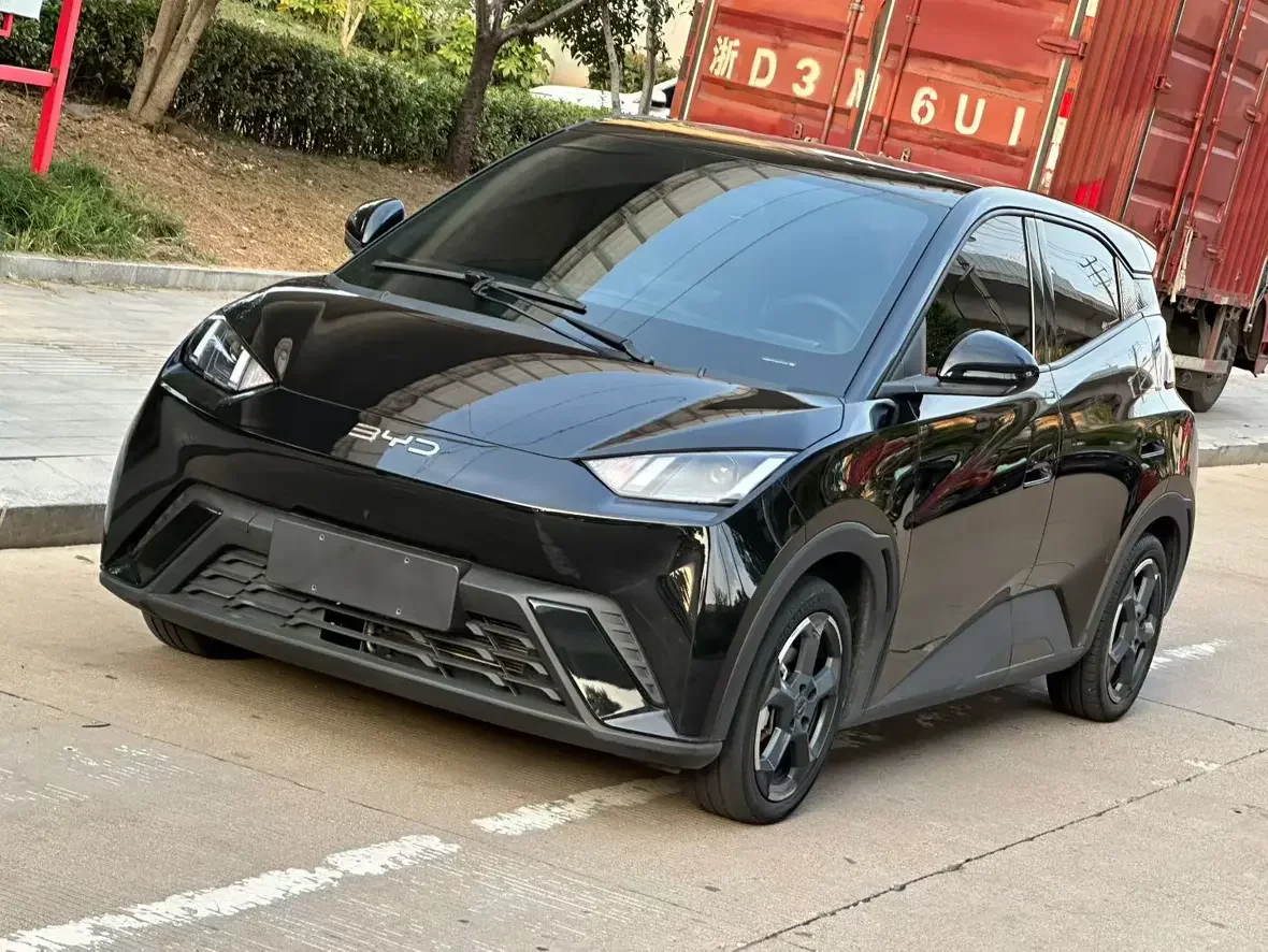BYD Seagull