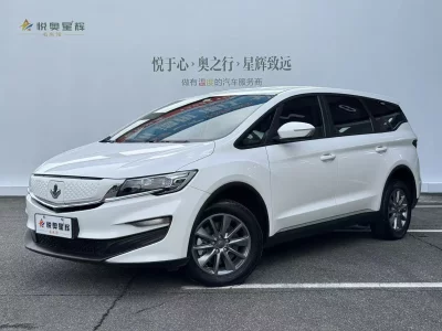 Ruilan Maple Leaf 80v