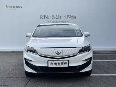 Ruilan Maple Leaf 80v