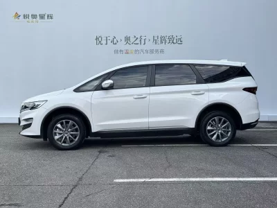 Ruilan Maple Leaf 80v