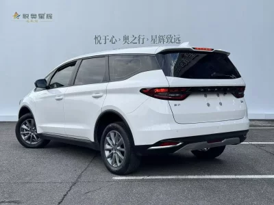 Ruilan Maple Leaf 80v