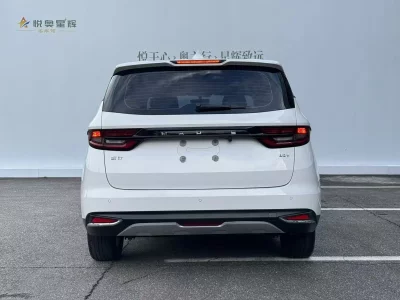 Ruilan Maple Leaf 80v