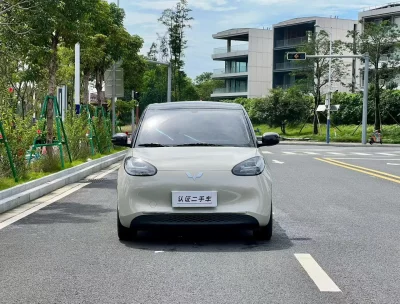 Wuling Bingo