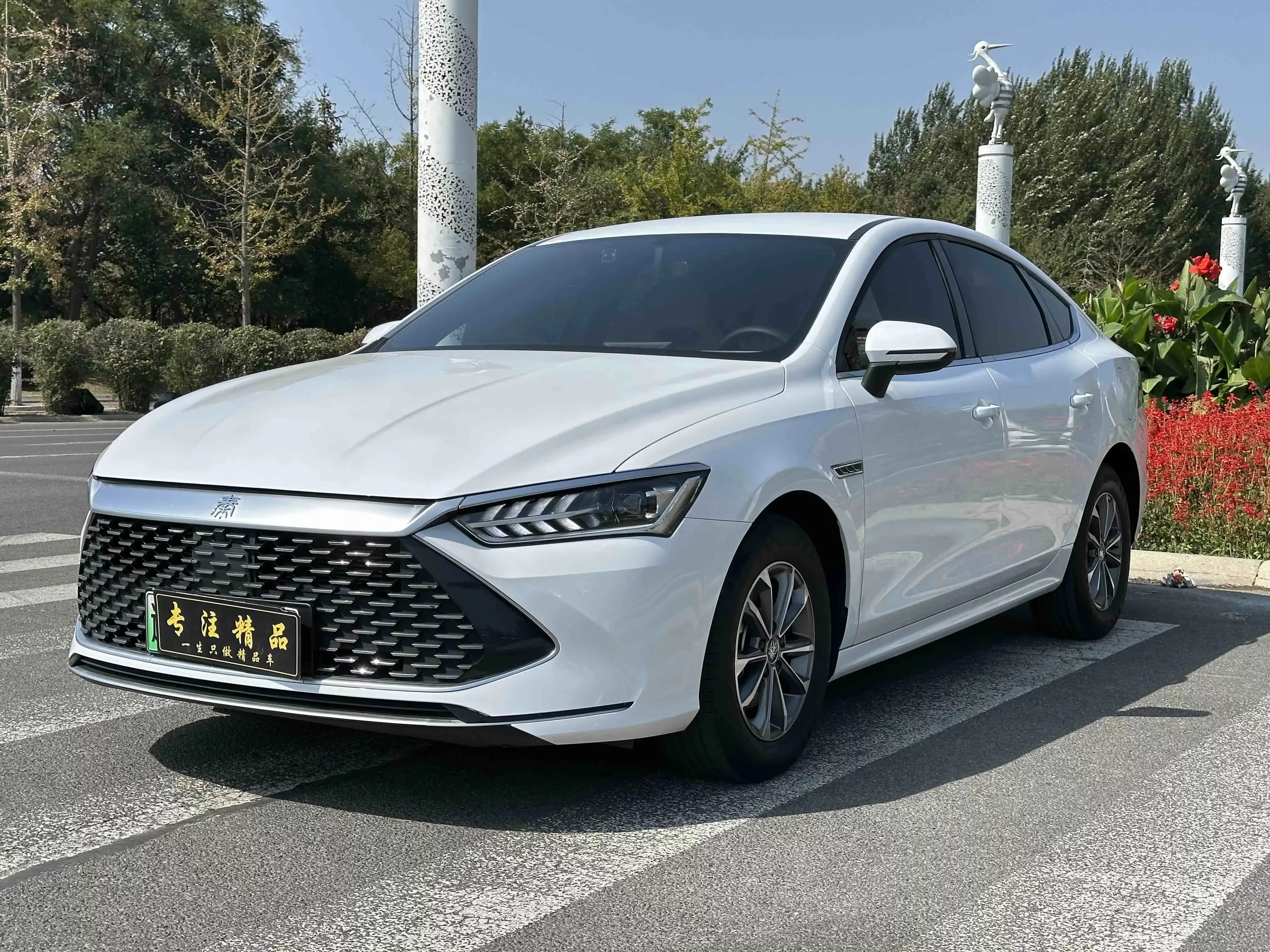 BYD Qin PLUS DM