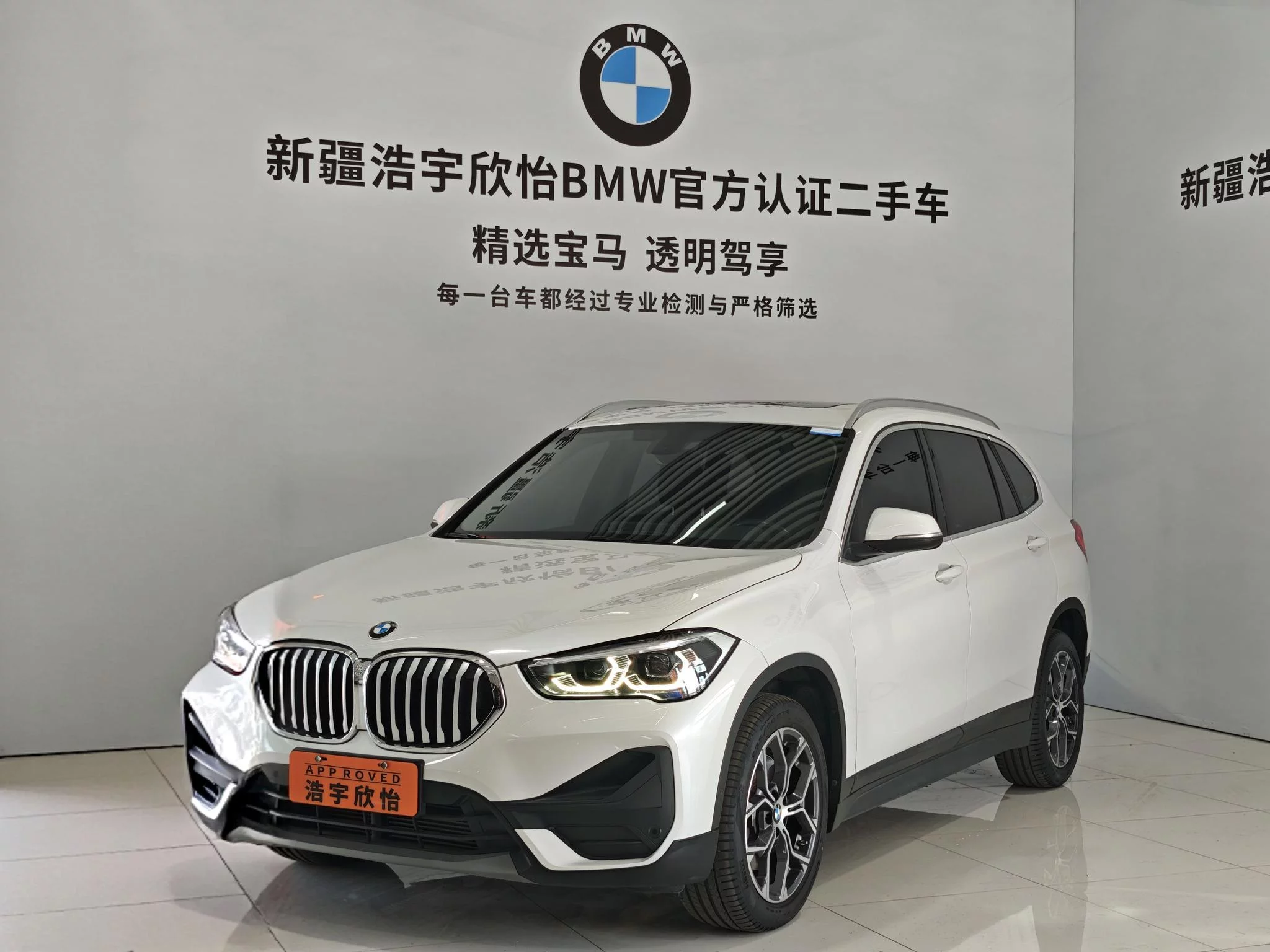 BMW X1