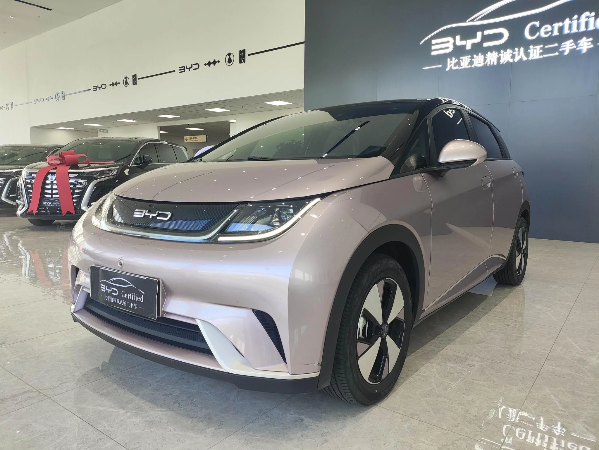 BYD Dolphin