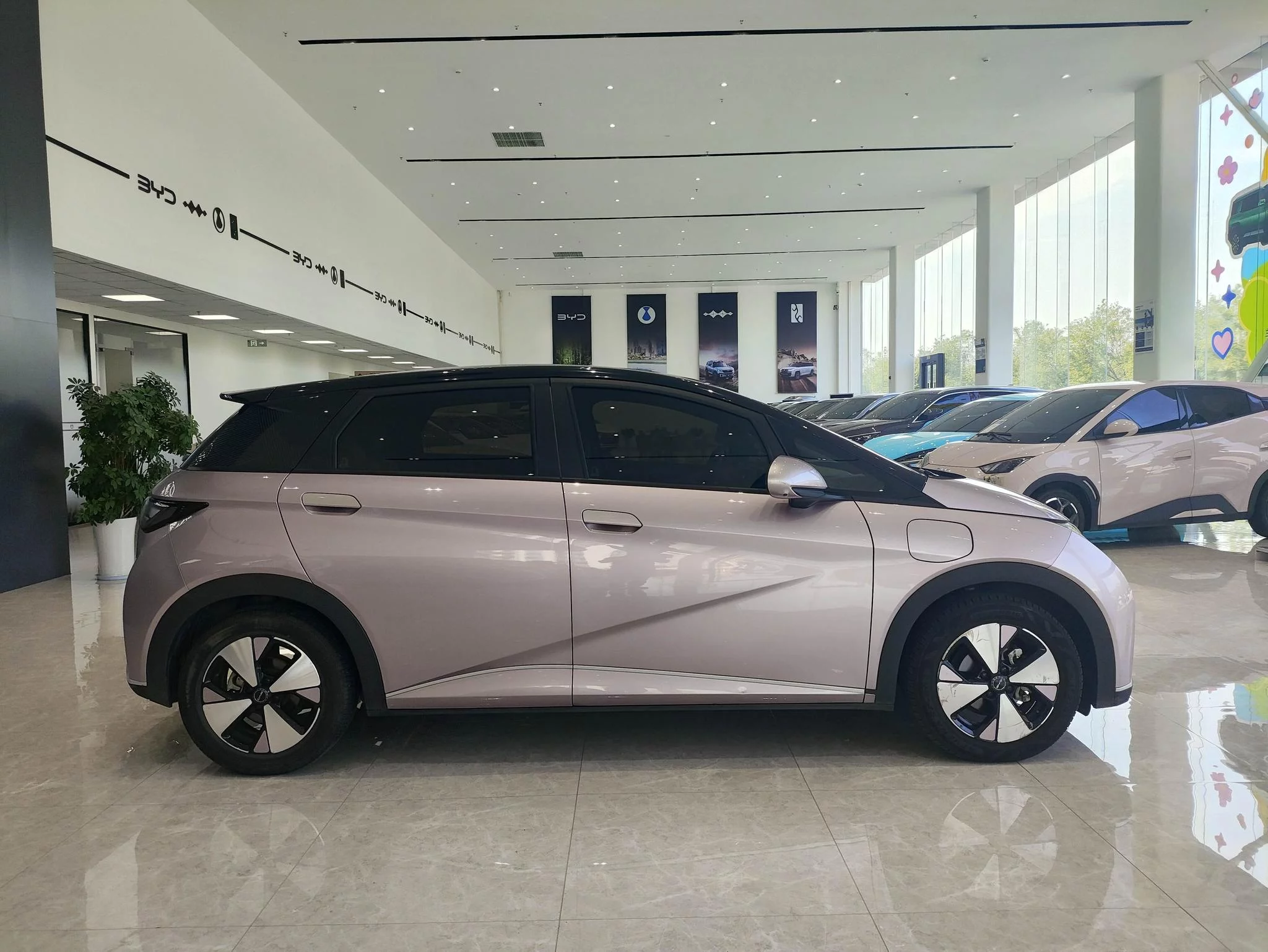BYD Dolphin