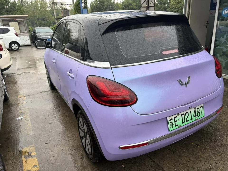 Wuling Bingo