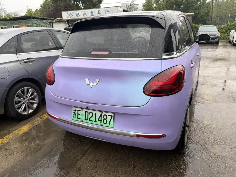 Wuling Bingo