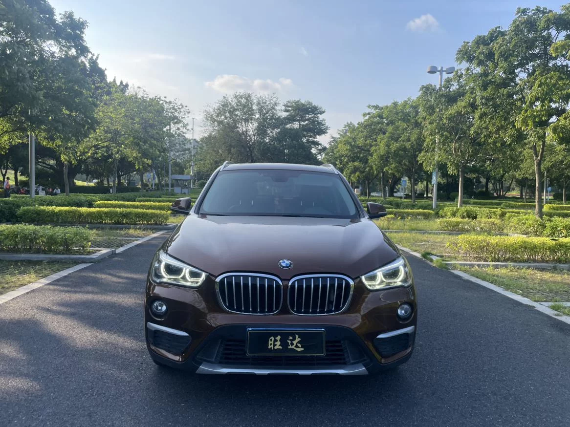 BMW X1