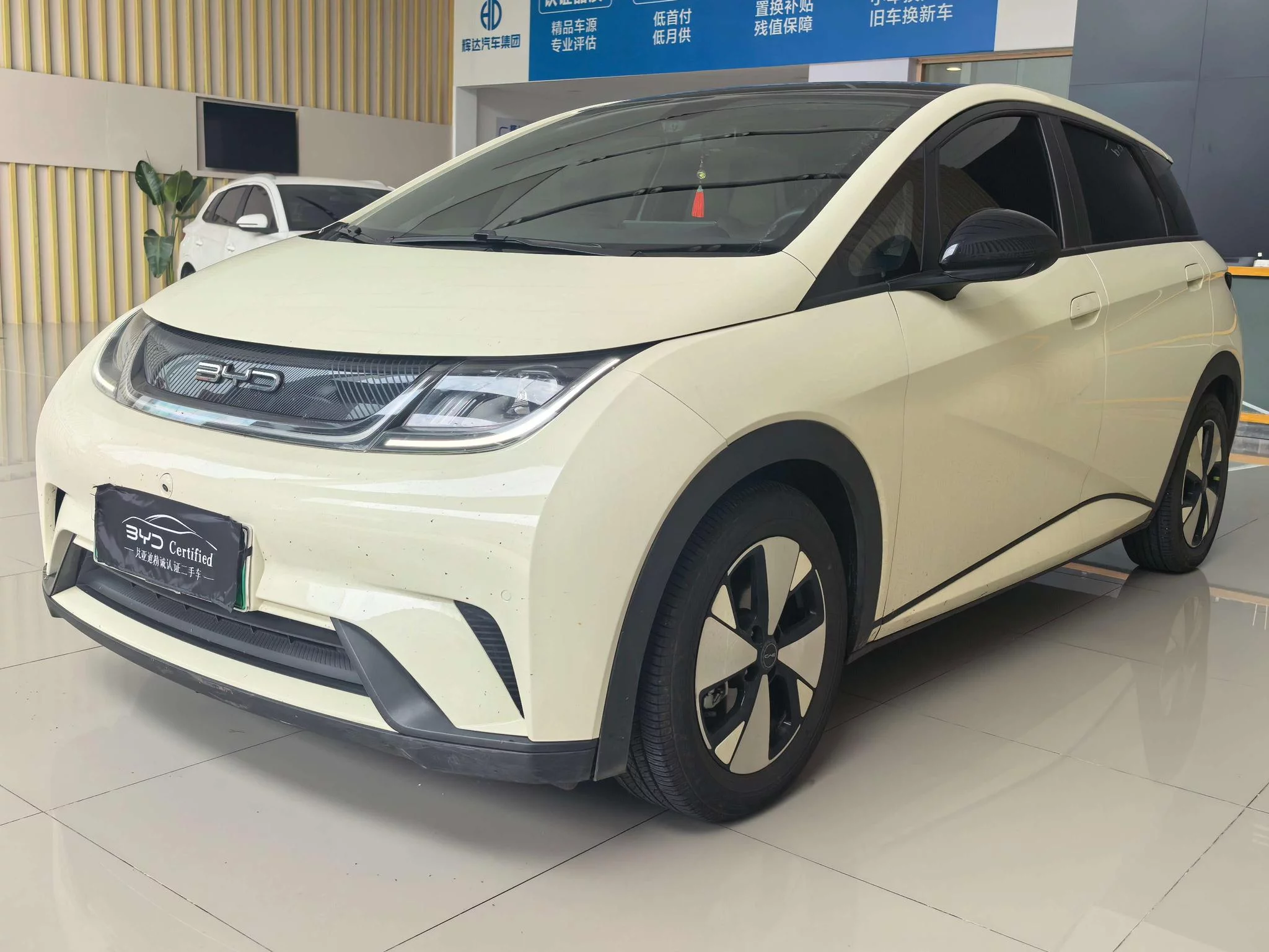 BYD Dolphin