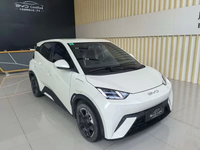 BYD Seagull