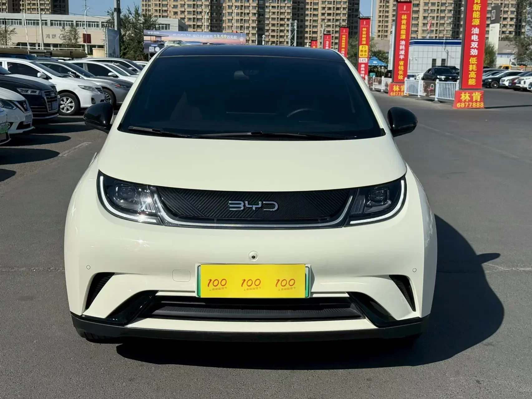 BYD Dolphin