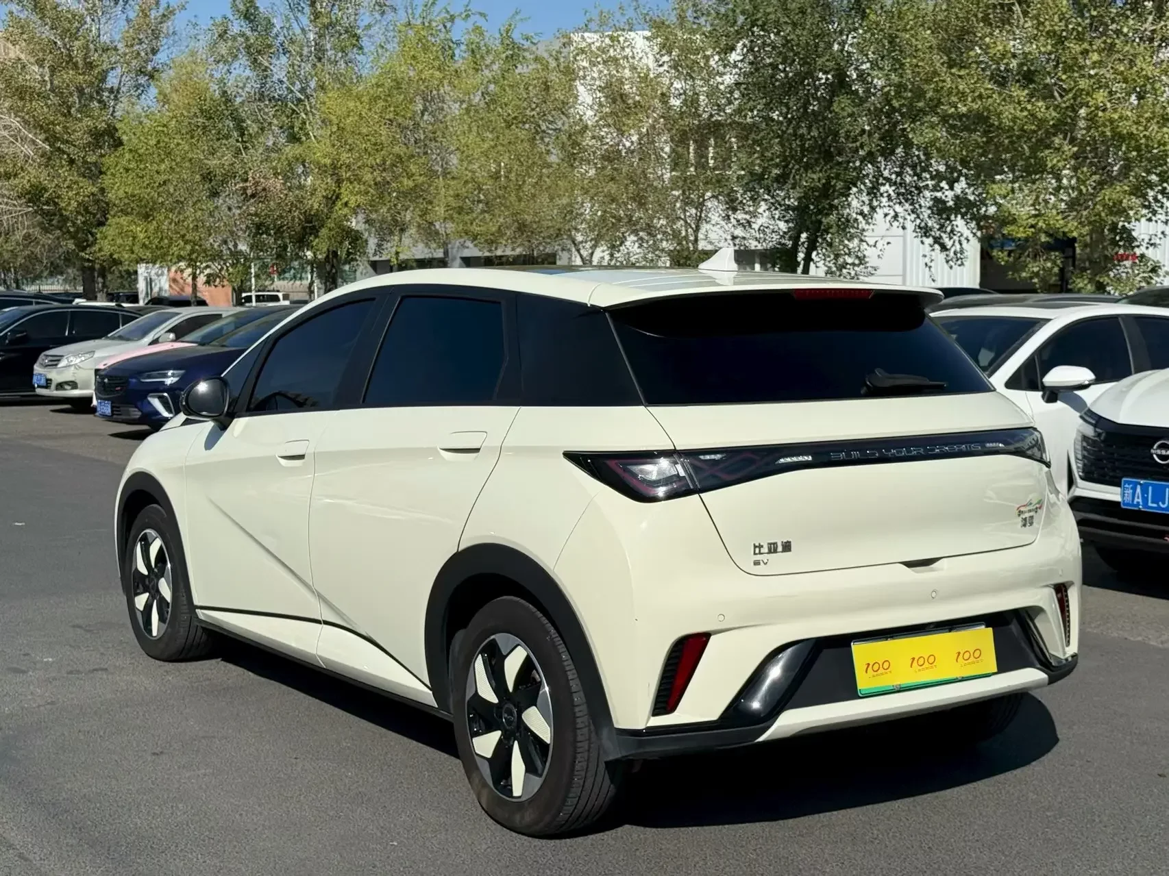 BYD Dolphin