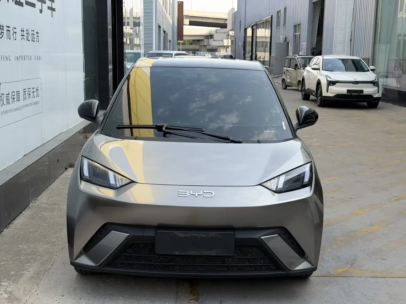 BYD Seagull