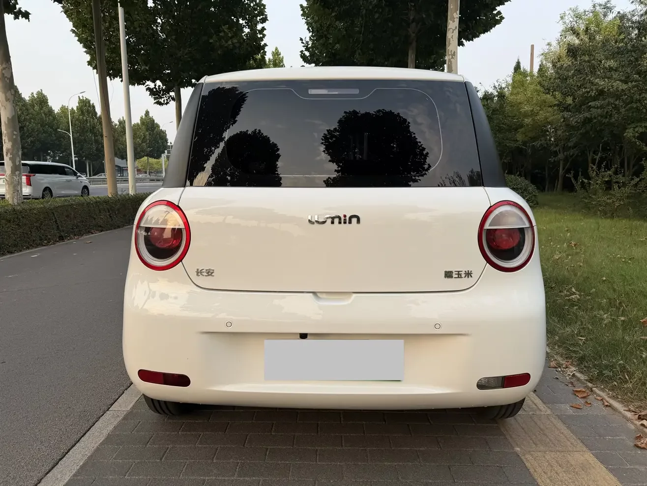Changan Lumin