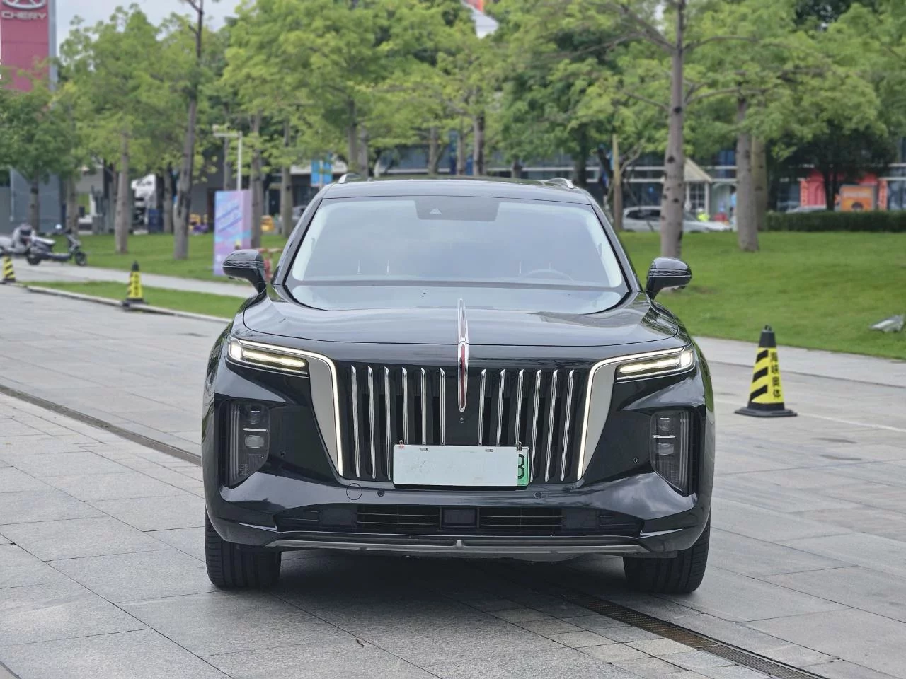Hongqi E-HS9