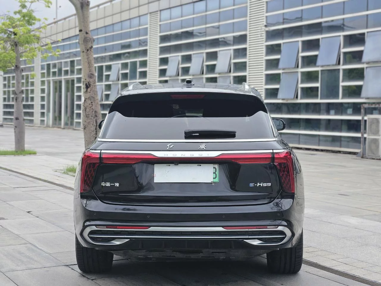 Hongqi E-HS9