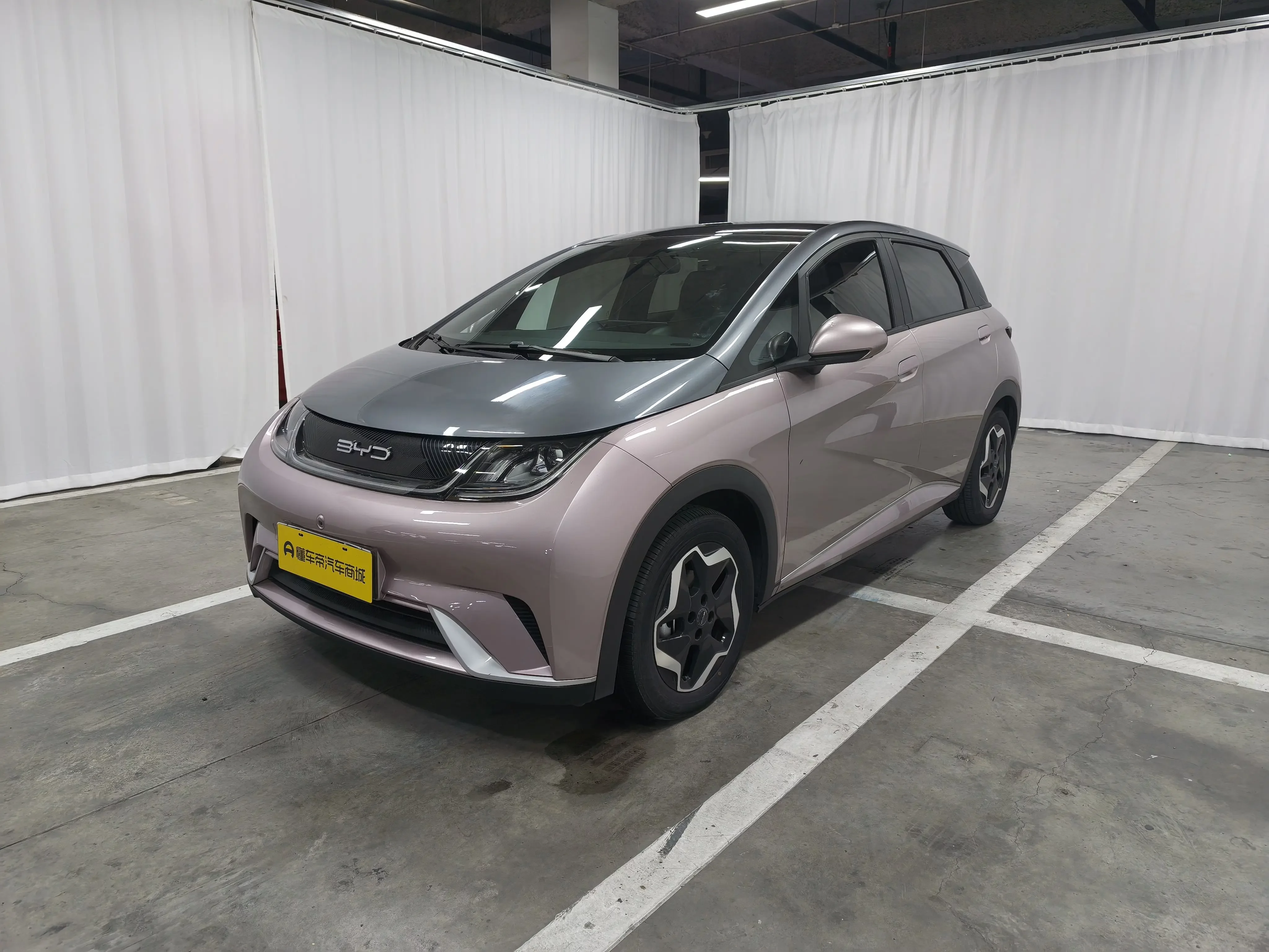 BYD Dolphin
