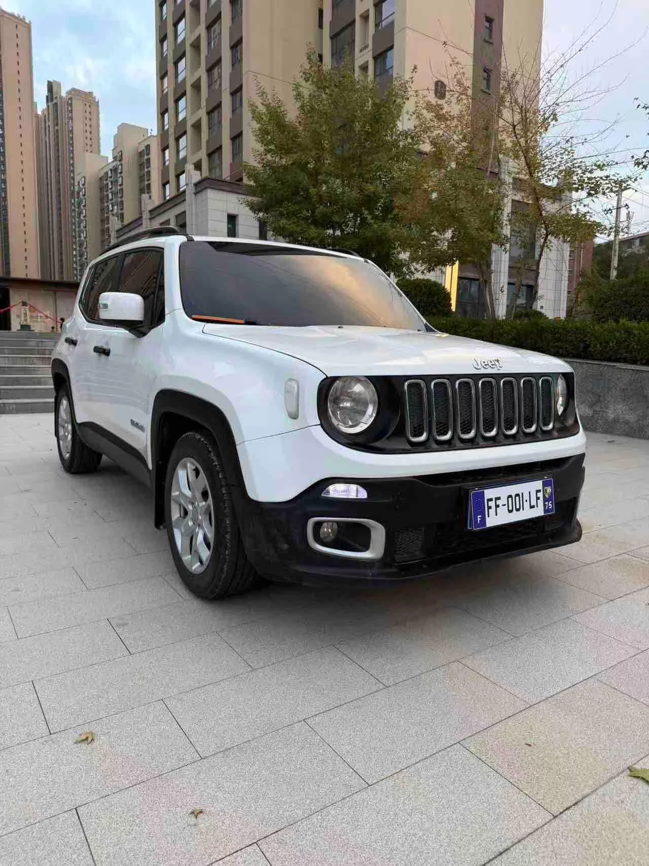 Jeep Freeman