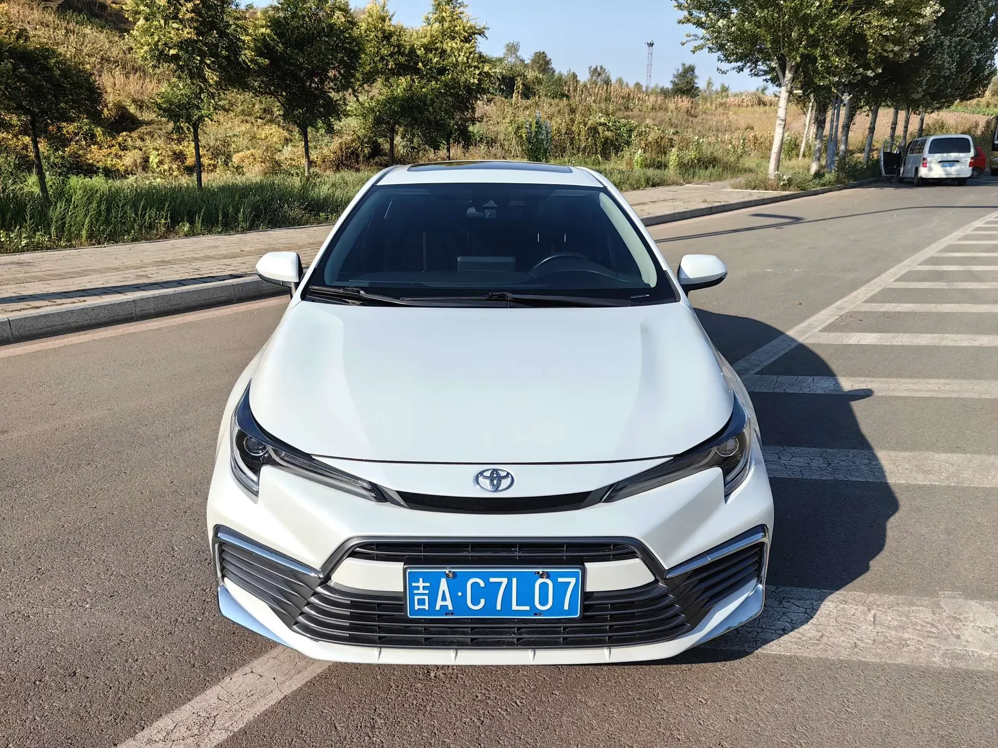 Toyota Levin