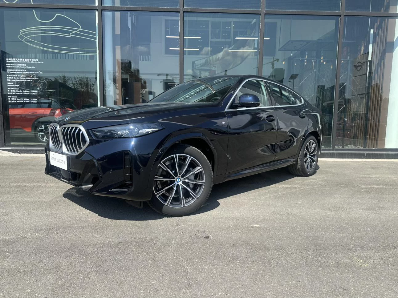 BMW X6