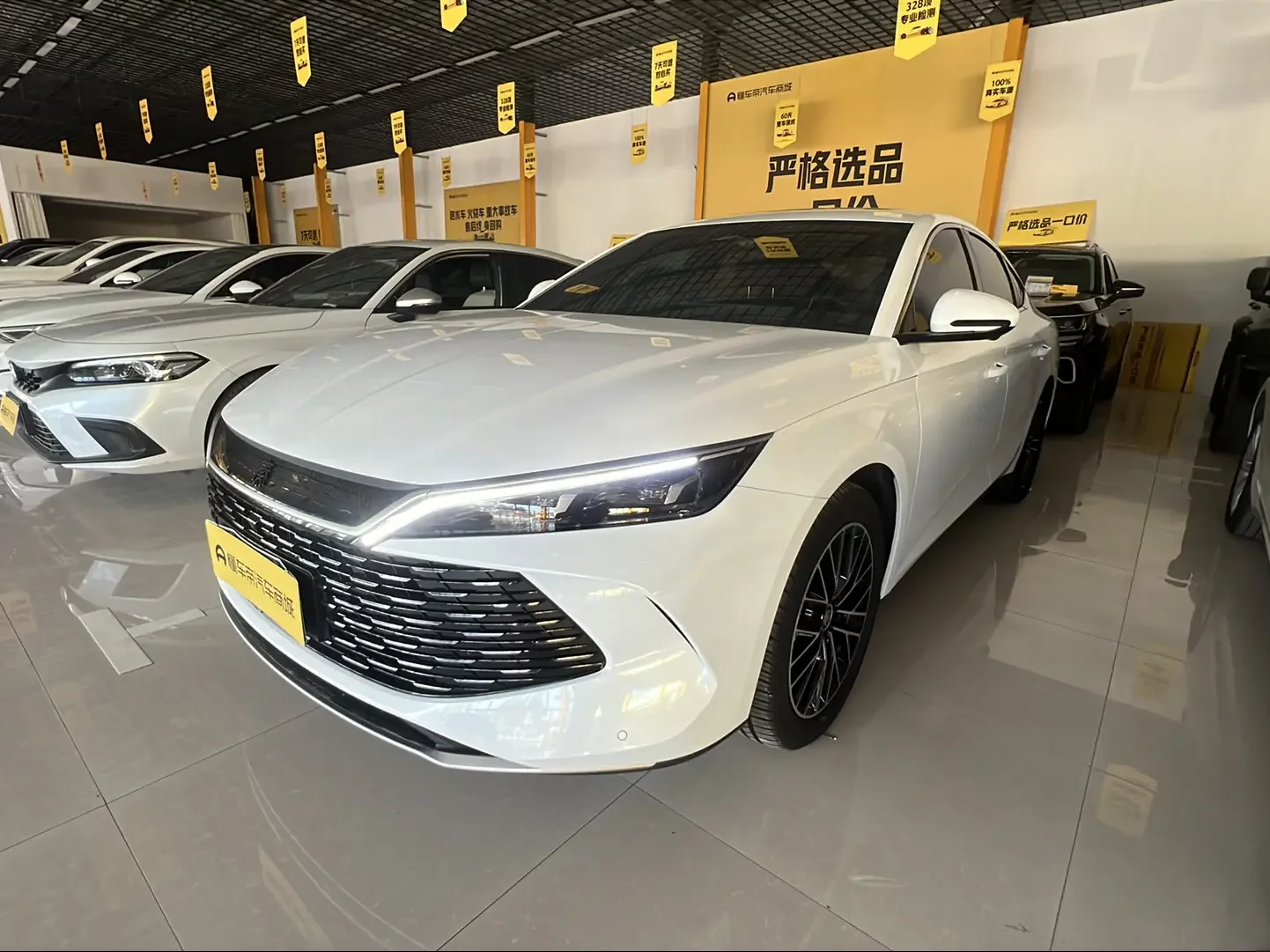 BYD Qin L DM