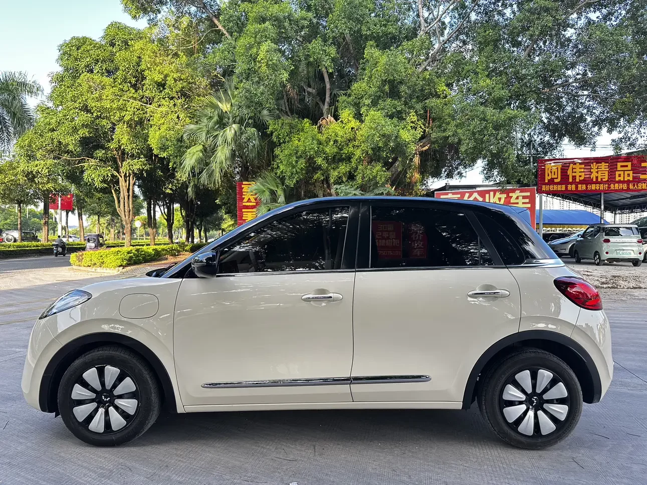 Wuling Bingo