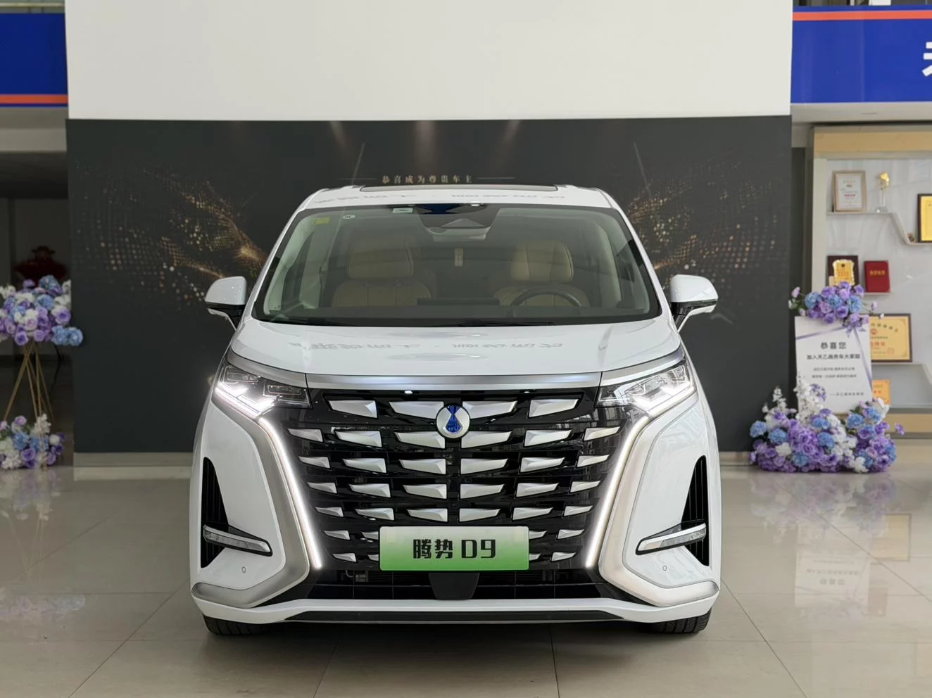 Denza D9 DM