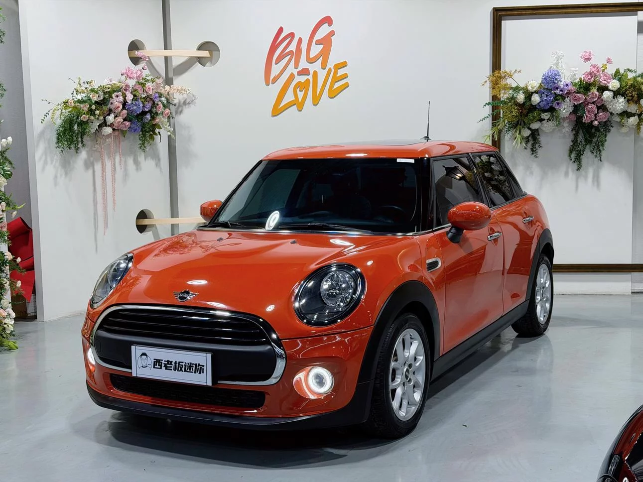 MINI MINI