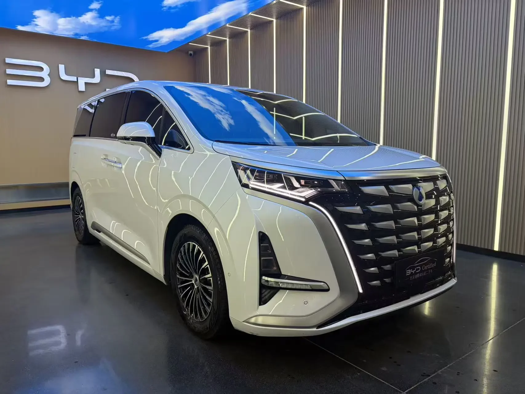 Denza D9 DM