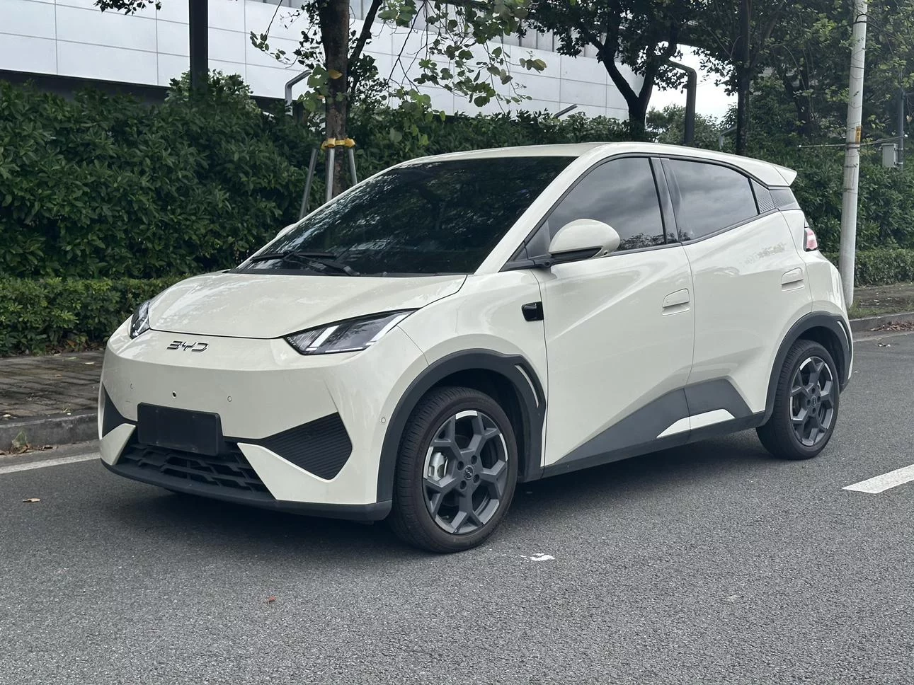 BYD Seagull