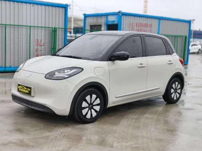Wuling Bingo