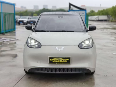 Wuling Bingo