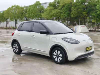 Wuling Bingo
