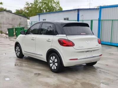 Wuling Bingo