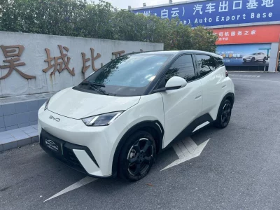 BYD Seagull