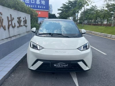 BYD Seagull