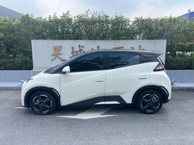 BYD Seagull