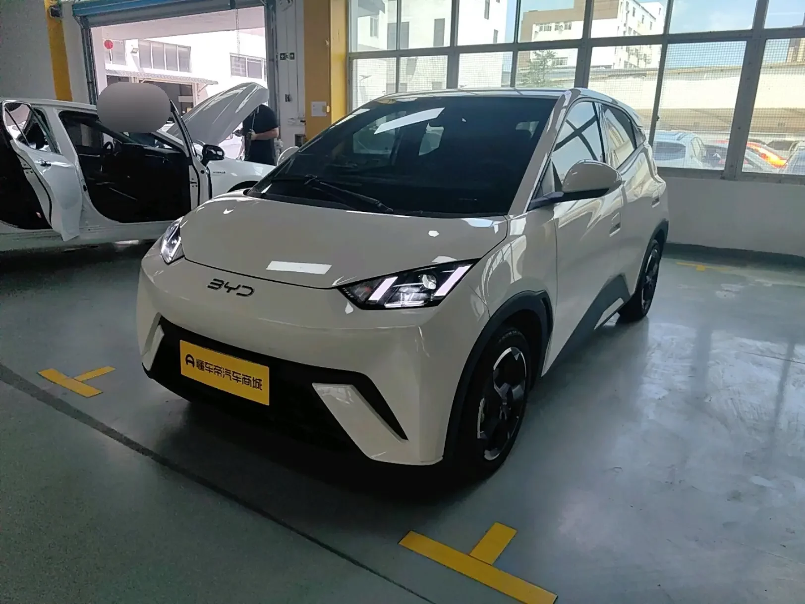 BYD Seagull